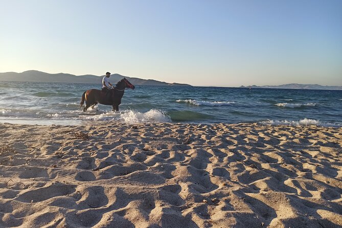 Horse Riding Experience on the Beach with Instructor - From the stable toward the salt lake