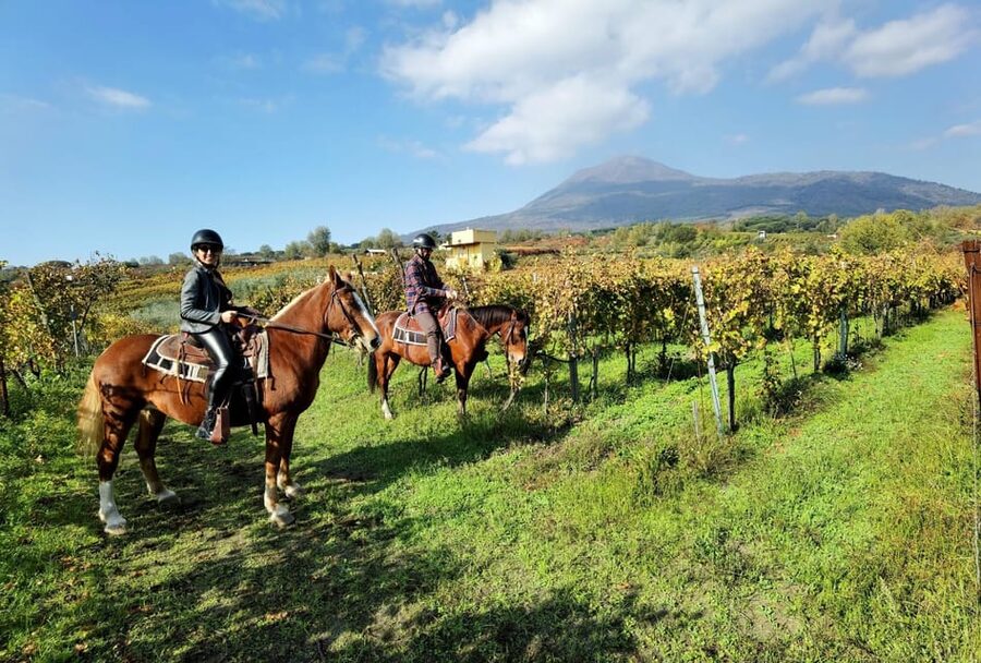 Horse Riding Experience on Vesuvius w/ Wine Tasting - Key points to know before booking