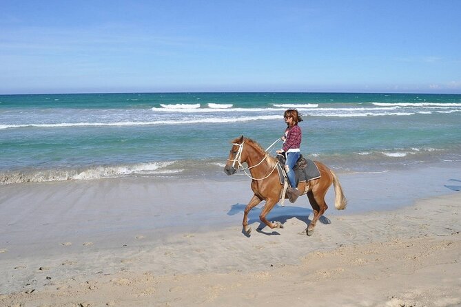 Horse Riding Experience through El Limon Beach - Safety, weather, and practical planning