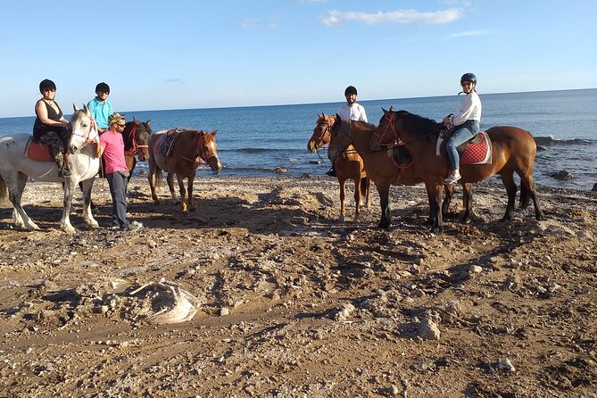 Horse Riding: Explore Secret Thera - Horses, guides, and the human side of the tour