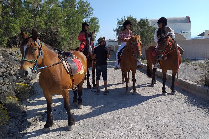 Horse Riding: Explore Secret Thera - Is $72.56 a fair price?