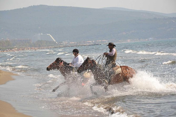 Horse Riding From Kusadasi Port / Hotels - Riding through the trees and brush