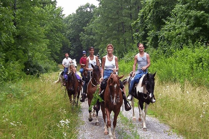 Horse Riding From Kusadasi Port / Hotels - What the $49 price really covers