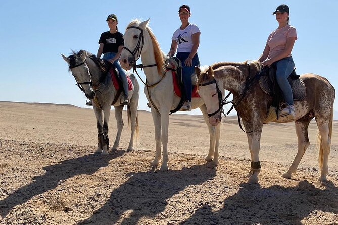 Horse Riding in Amazing Dessert With Transfer - Marsa Alam - Key points to know before booking