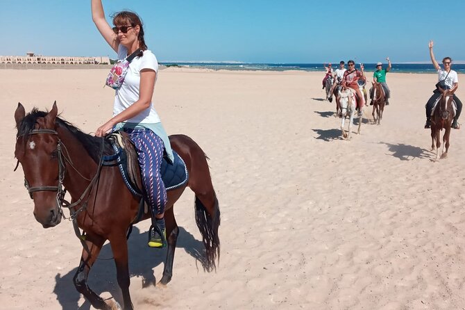 Horse Riding in Amazing Dessert With Transfer - Marsa Alam - What the $22 price really covers