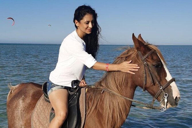 Horse Riding in Amazing Dessert With Transfer - Marsa Alam - Safety, comfort, and riding ability