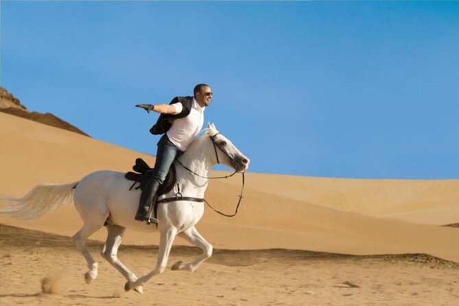 Horse Riding in Amazing Dessert With Transfer - Marsa Alam - Who will enjoy this ride most?