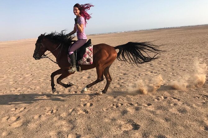 Horse Riding in Amazing Dessert With Transfer - Marsa Alam - Riding through the desert near Marsa Alam