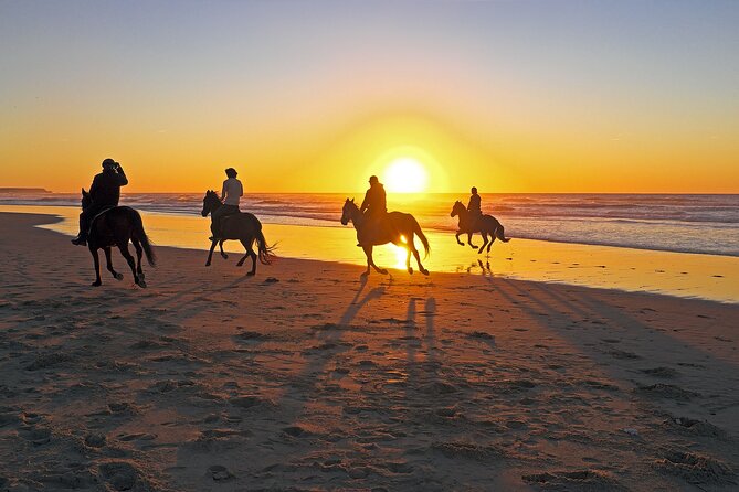 Horse Riding in Antalya,Belek,Lara Beach(Sunrise,Sunset,Day Time) - Horses, helmets, and riding ability