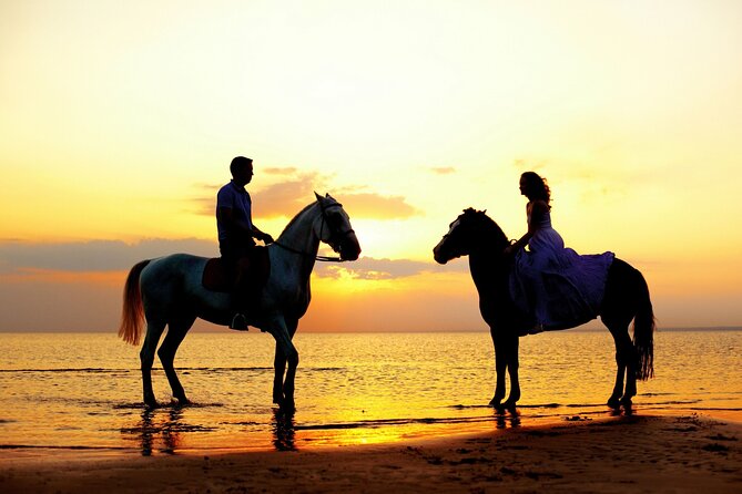 Horse Riding in Antalya,Belek,Lara Beach(Sunrise,Sunset,Day Time) - Photos, phones, and extra costs