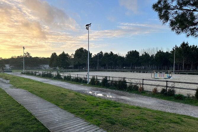 Horse Riding in Aveiro - Ílhavo - Meeting the horse before learning to ride