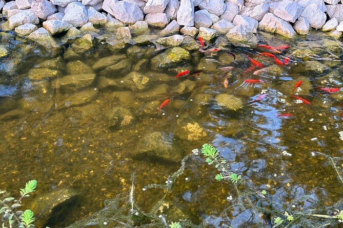 Horse Riding in Aveiro - Ílhavo - Why the small group of four matters
