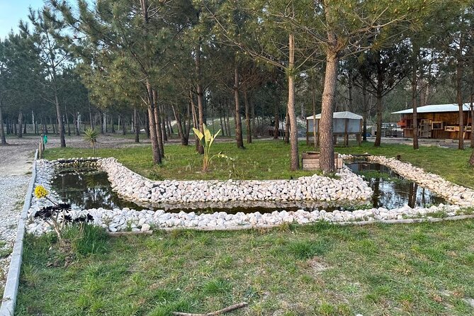 Horse Riding in Aveiro - Ílhavo - Is $29.09 good value for 25 minutes?