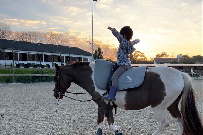 Horse Riding in Aveiro - Ílhavo - What the 30-minute experience actually includes