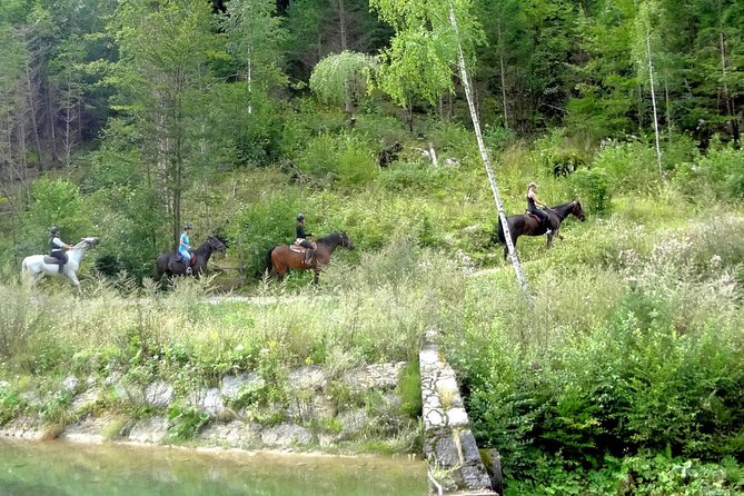Horse Riding in Bled - Getting Equipped at the Farm