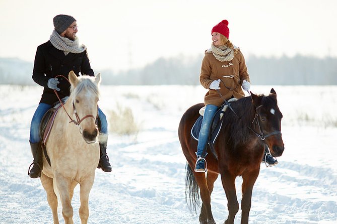 Horse Riding in Bled - Why the Manege Test Matters