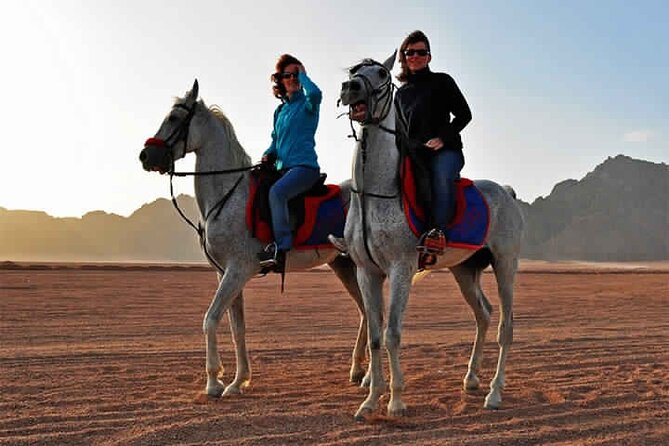Horse Riding in Dahab - Choosing Your Route From Dahab