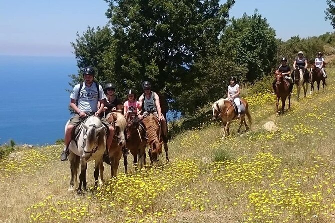 Horse Riding in Fethiye - Key points to know before booking