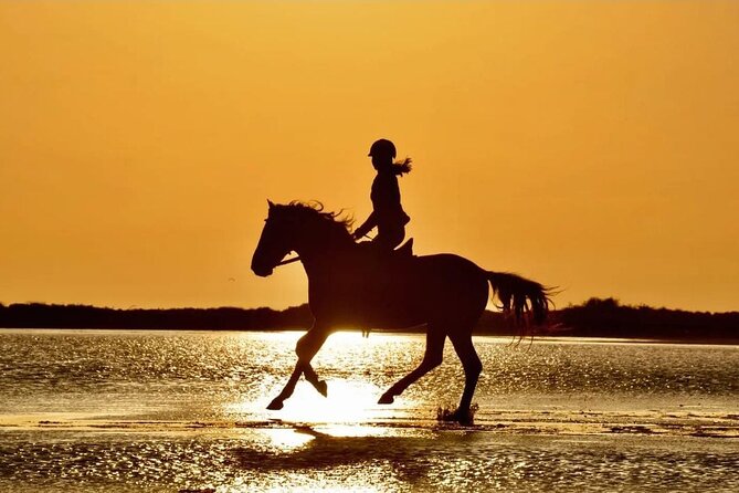 Horse Riding in Manavgat Side Forest and Beach - Quick points to know before booking