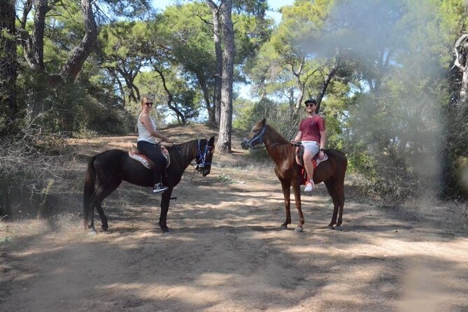 Horse Riding in Manavgat Side Forest and Beach - From Side hotels to the Manavgat horse club