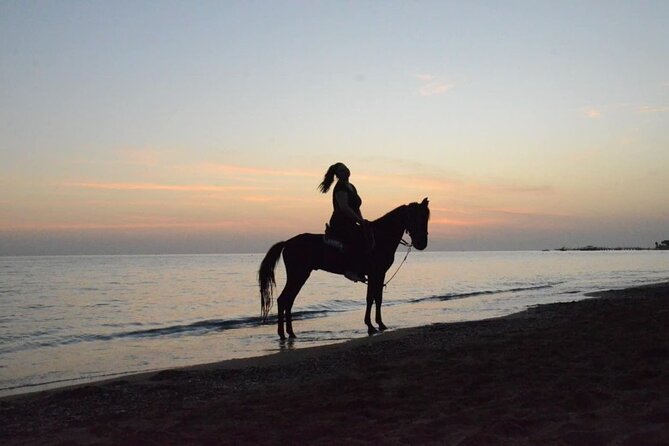 Horse Riding in Manavgat Side Forest and Beach - The pine forest and river route