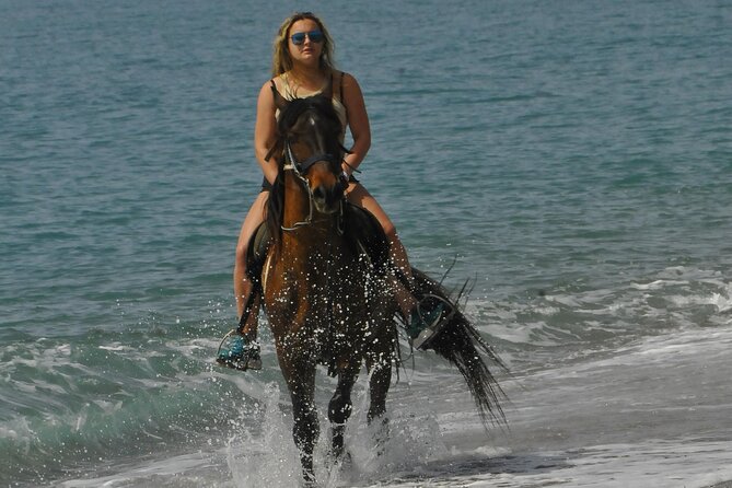 Horse Riding in Manavgat Side Forest and Beach - Is $56.72 good value?