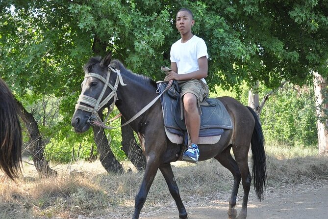 Horse Riding in Marmaris & Icmeler - Meeting the horses and getting ready