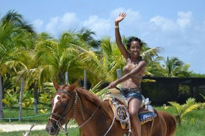 Horse Riding in Miami's Countryside - From Miami City Streets to Quail Heights