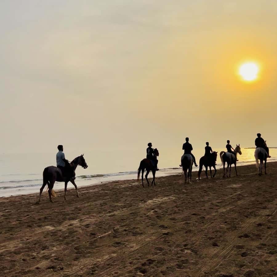 Horse riding in muscat beach - Reaching the beach stable from Muscat