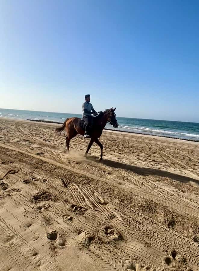 Horse riding in muscat beach - The $59 price and what you receive