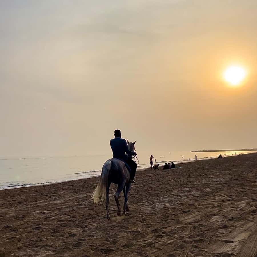 Horse riding in muscat beach - Timing, communication, and arrival