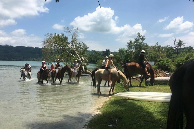 Horse Riding in Port Vila with Yumi Tours - Choosing a horse for your riding level