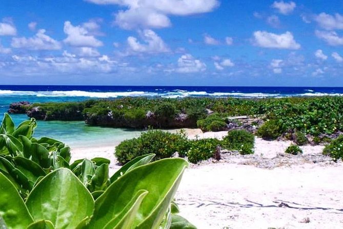 Horse Riding in Port Vila with Yumi Tours - Reaching the white sand of Etmat Bay