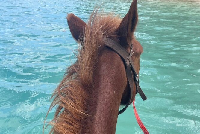 Horse Riding in Port Vila with Yumi Tours - What the $135 price includes