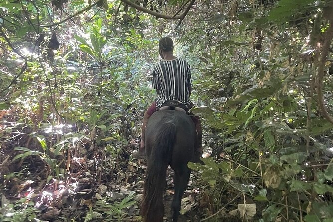 Horse Riding in Port Vila with Yumi Tours - Weather, timing, and what to pack