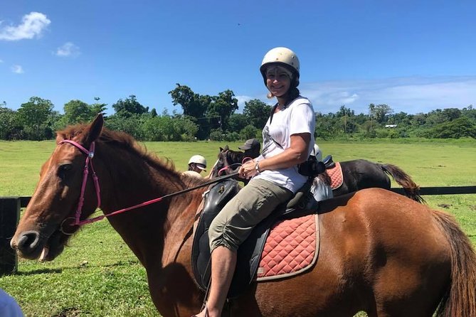 Horse Riding in Port Vila with Yumi Tours - Through rainforest and village gardens
