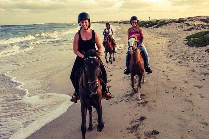 Horse Riding in Sal Island - Cabo Verde - Starting at Santa Marilha Horse Excursions near Viveiro