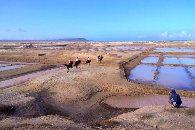 Horse Riding in Sal Island - Cabo Verde - Continuing to Kite Beach