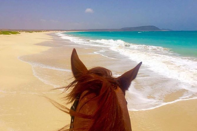 Horse Riding in Sal Island - Cabo Verde - How suitable is it for beginners?