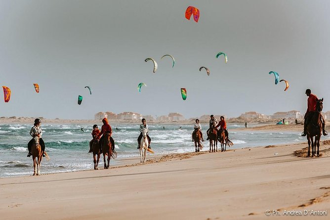 Horse Riding in Sal Island - Cabo Verde - Horse care, staff, and the overall feel
