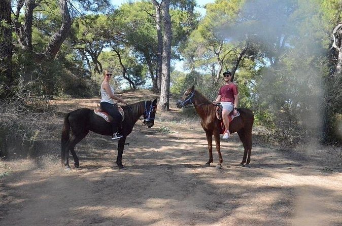 Horse Riding in Side - Horse Tour in Manavgat Forest and Beach - What the $60.49 price includes