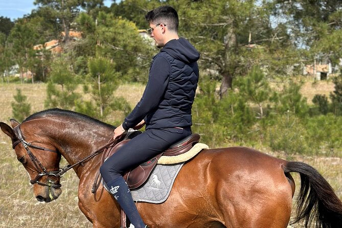 Horse Riding in the Countryside - Key points to know before booking