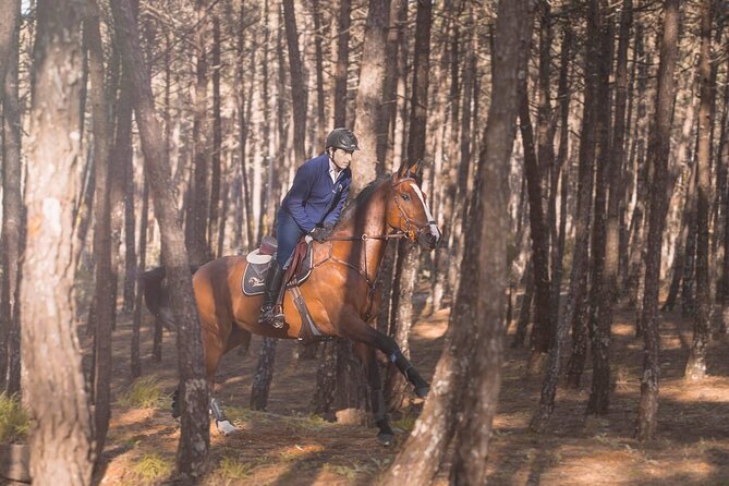 Horse Riding in the Countryside - Friendly instruction for first-time riders