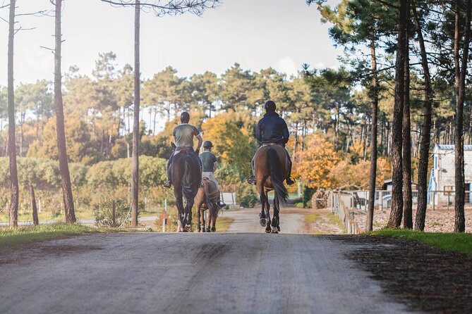 Horse Riding in the Countryside - What the one-hour, 6 km route feels like