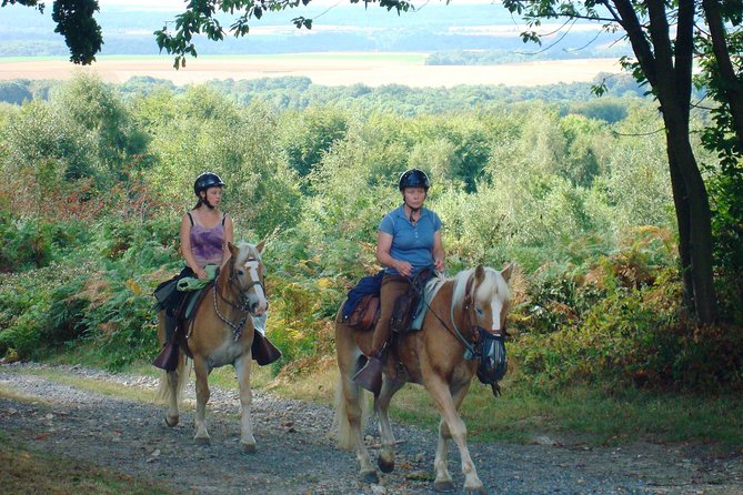 Horse riding in the French countryside between Paris and Lille - What makes this Picardy ride worth considering