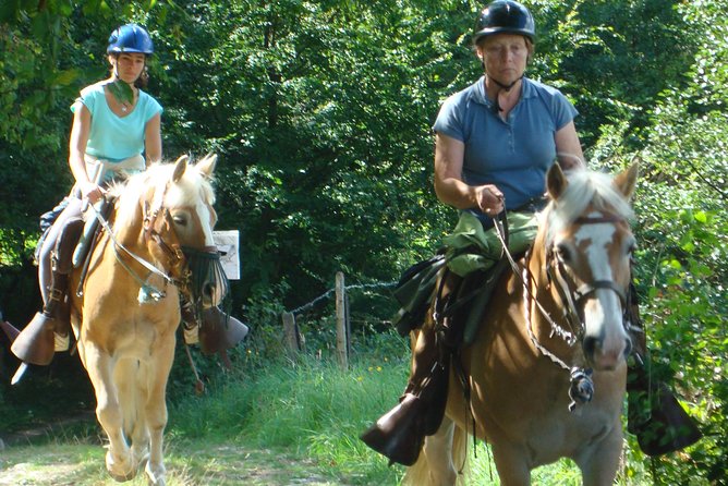 Horse riding in the French countryside between Paris and Lille - Arriving at the family farm near Trefcon