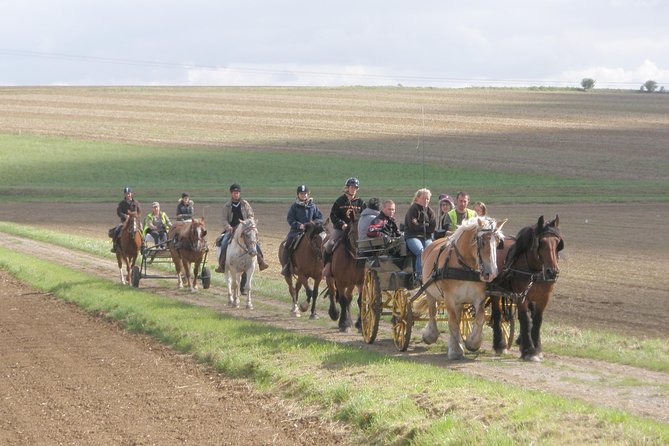Horse riding in the French countryside between Paris and Lille - The value of $84.11 per person