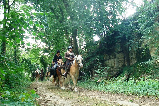 Horse riding in the French countryside between Paris and Lille - The first 45 minutes: grooming, saddling, and getting comfortable