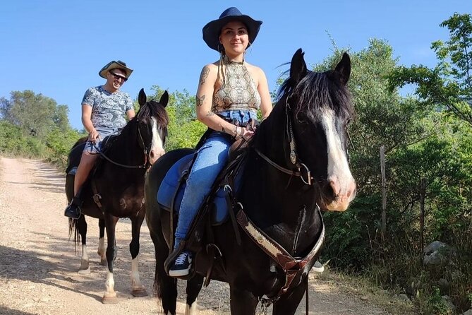 Horse riding in the Gargano National Park - A gentle introduction for first-time riders
