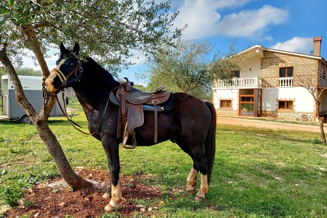 Horse riding in the Gargano National Park - Pausing for views toward the Tremiti Islands